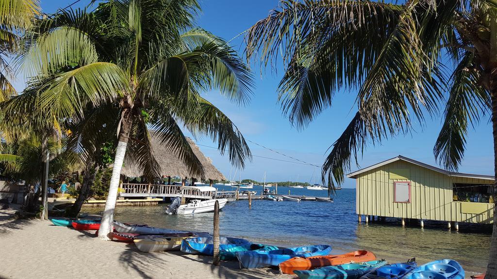 Alan'S Paradise Hotel Placencia 외부 사진