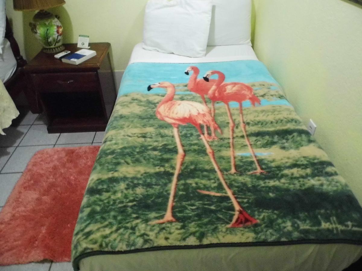 Alan'S Paradise Hotel Placencia 외부 사진