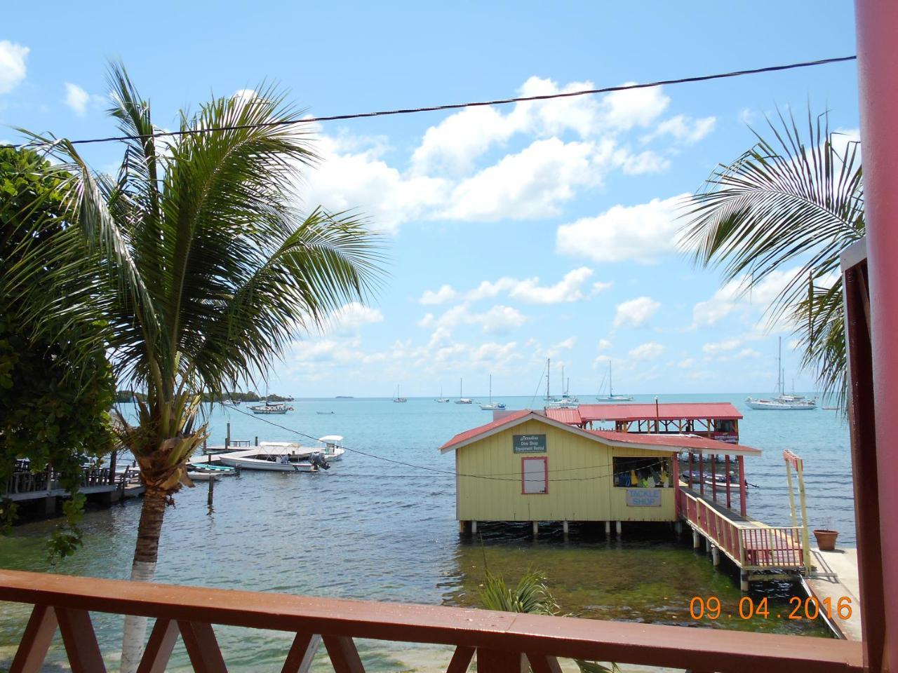 Alan'S Paradise Hotel Placencia 외부 사진