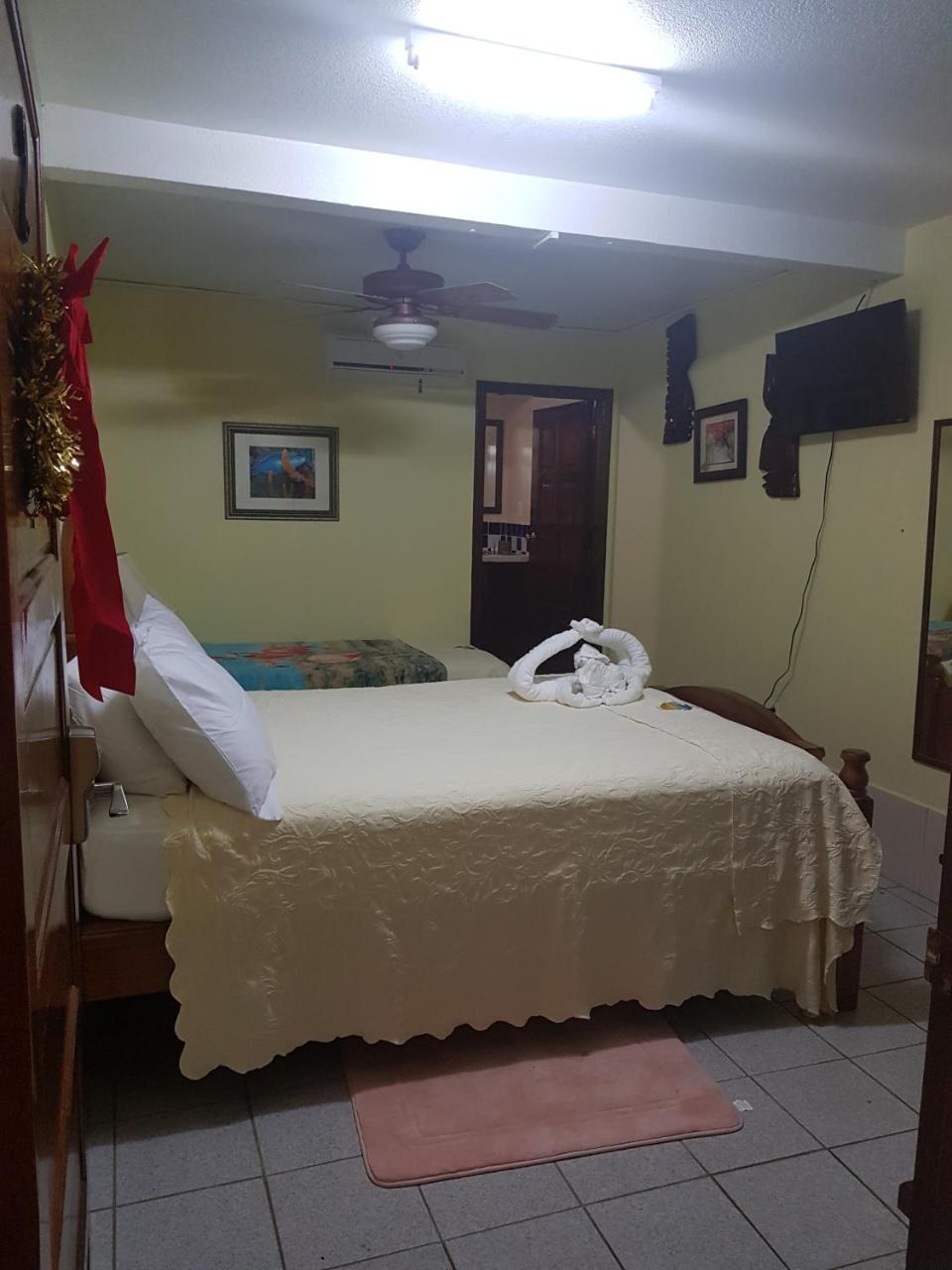 Alan'S Paradise Hotel Placencia 외부 사진